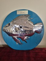 Senior John Dory