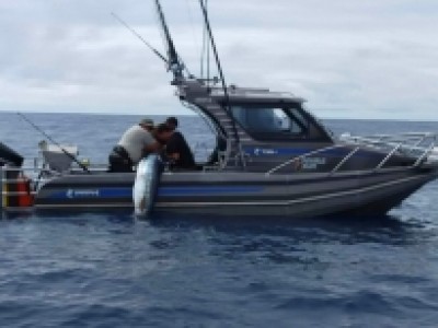 2022 - 2023 122kg Striped Marlin - Club Record