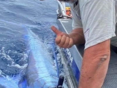2022 - 2023 Stuart's 122kg Striped Marlin